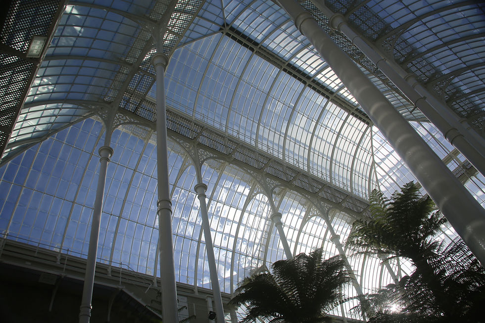 Huge glass palm house roof with white columns and tall ferns below, sunlight and clouds visible through the skylight.