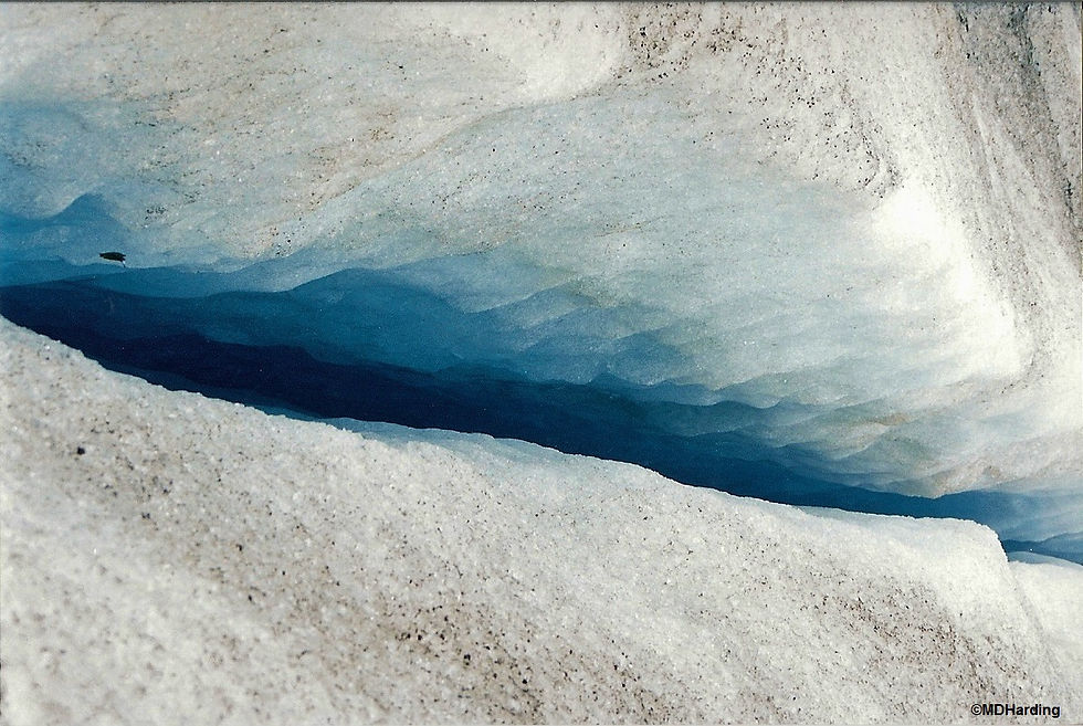 Layered blue-and-white glacier ice forms a crevasse under a bright snowy overhang, creating a calm, cold, textured scene.