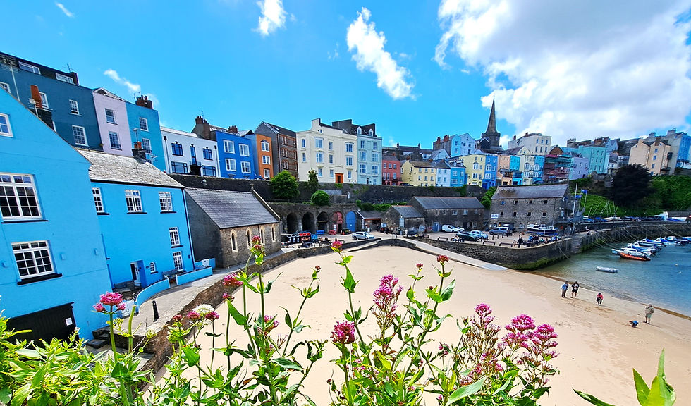 Pastel Houses and Harbour, Tenby