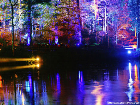 Enchanted Forest - Pitlochry