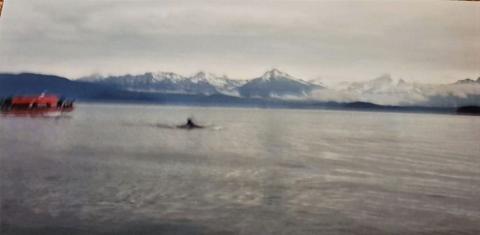 Red boat on a calm lake with a whale fin surfacing, snowy mountains under a cloudy sky in the background