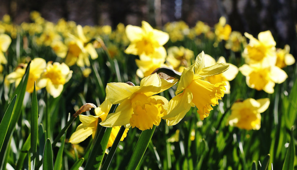 Five Ways You Can Put A Spring In Your Step Five Ways You Can Put A Spring In Your Step