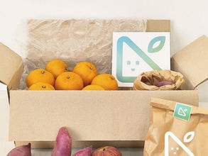 못난이마켓,동아일보,못난이농산물,못난이과일,못난이과일꾸러미,과일박스,못난이마켓 서비스,못난이마켓 꾸러미