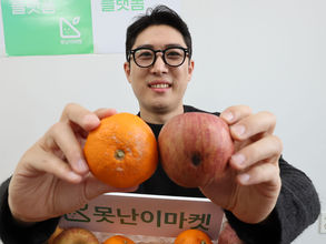 못난이마켓,못난이사과,못난이농산물,회계사 창업,회계사,못난이 창업