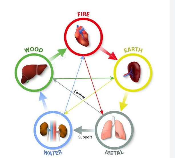 Riding the Seasonal Shifts: Emotional Balance Through Acupuncture and Chinese Medicine