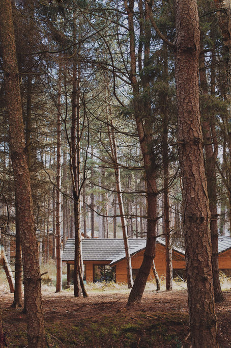 Escape to The Forest @ Center Parcs