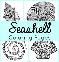Seashell Coloring.png