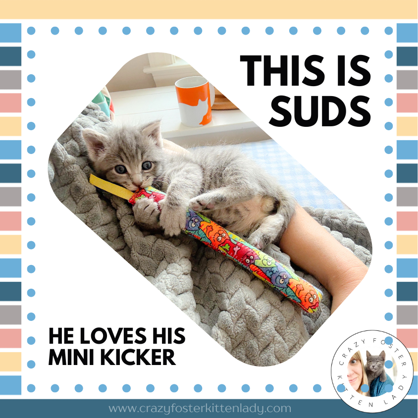 Thumbnail: Mystery Kitty Kickers