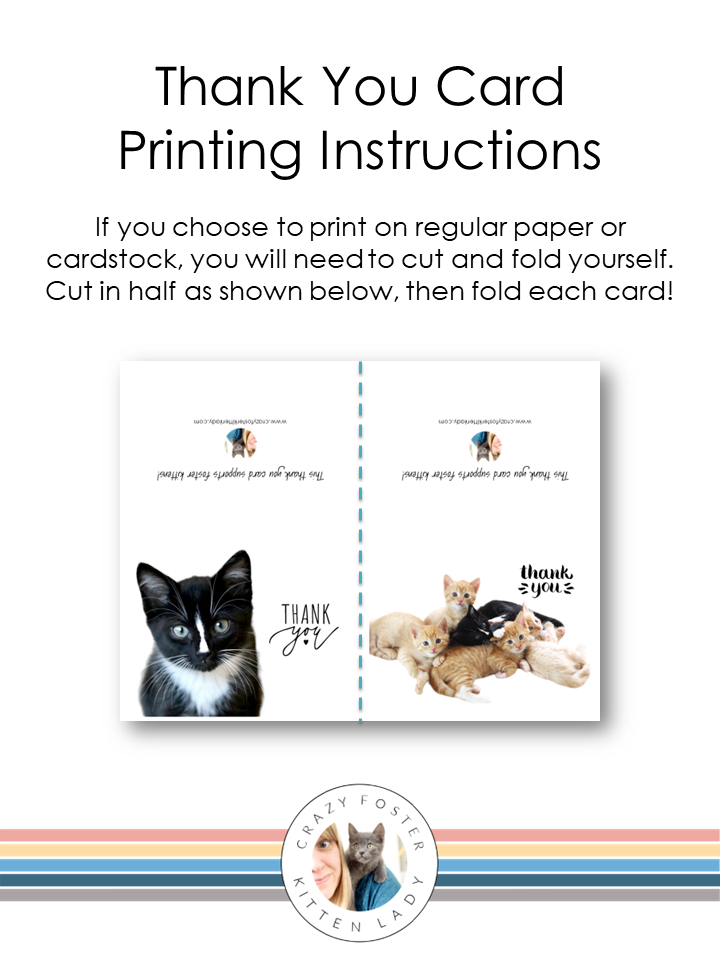 Thumbnail: Thank You Cards - The Bugs