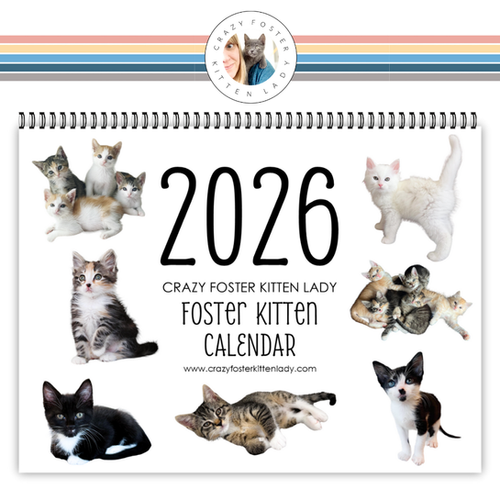 kittenページ 2026 Foster Kitten Calendar | CFKL