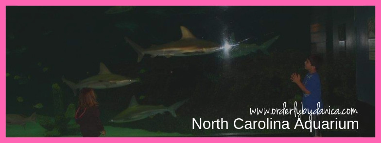 North Carolina Aquarium