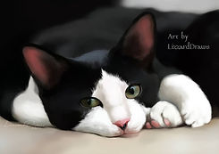 cat_nap_by_lizzarddraws_dbisd4c-pre.jpg