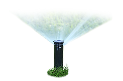 lawn irrigation