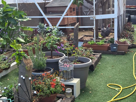 זה הזמן לקופסת צבעים חדשה 