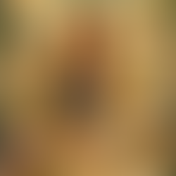 יושרה שבתוך סערה