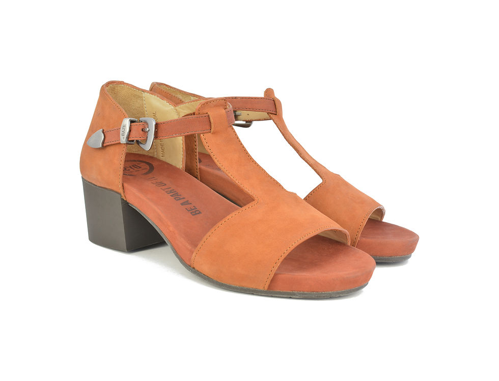 Miniatura: SHYER 1.0