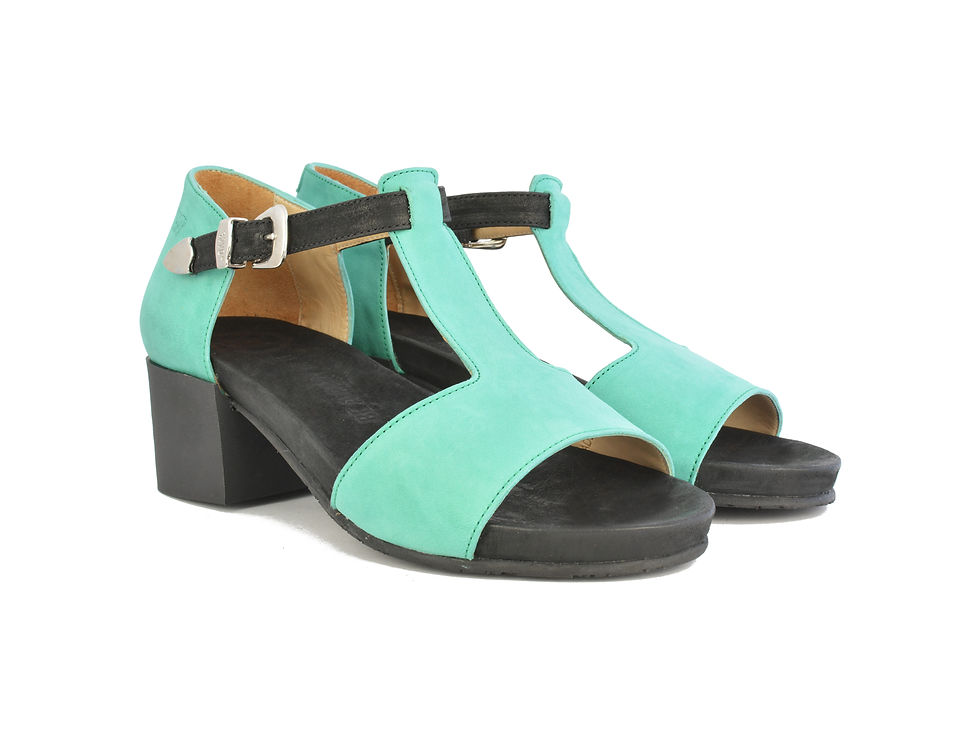 Miniatura: SHYER 1.0