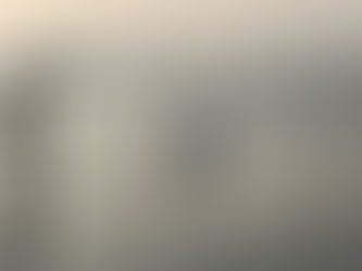 Stepping Towards Bay Restoration, Together