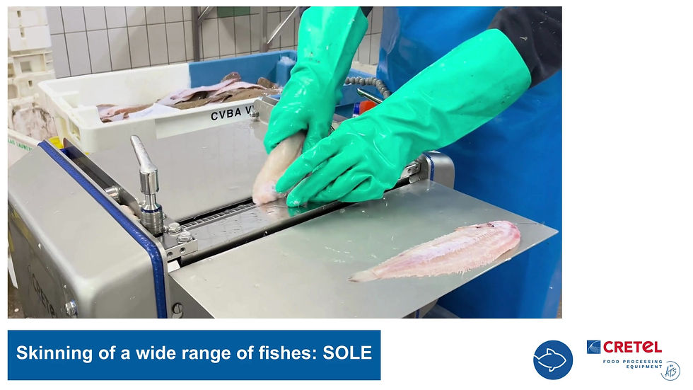 Thumbnail: Cretel 360 Tabletop Fish skinner