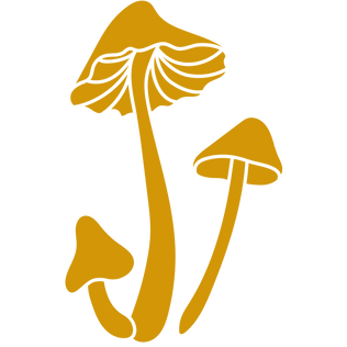 individual core brand images (5).png