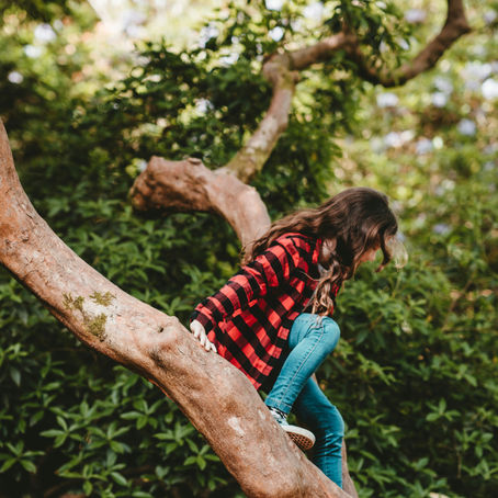 The Case for Nature Schooling: What Is It and Why It Is Important