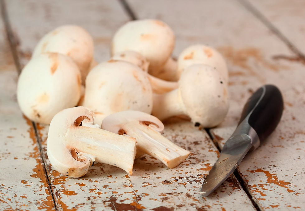 Ruche de Bercy - conservation des champignons