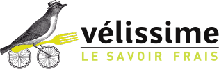 Ruche de Bercy - Vélissime