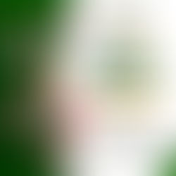 Pour Devenir Libre Financièrement, Il Faut Lire