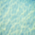Coto Surface Pros Logo_edited_edited.jpg