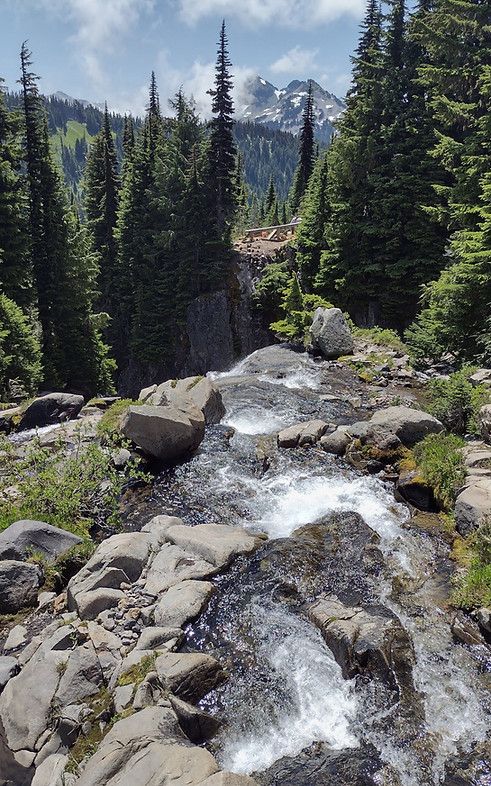 Multi-state Tax Specialist working remotely and exploring the national parks