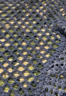 8611D144-CB4D-4EBB-BFB0-FB624C50D095_1_2