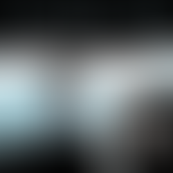 1º Segunda Temporada. Çirculação da Balbúrdia - Isabela Ramos Ribeiro