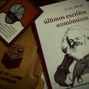 Guia de leitura #2 Últimos escritos econômicos