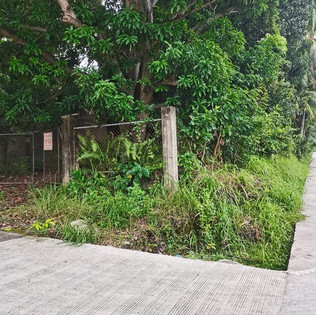 dauin-4000sqm-3.jpeg