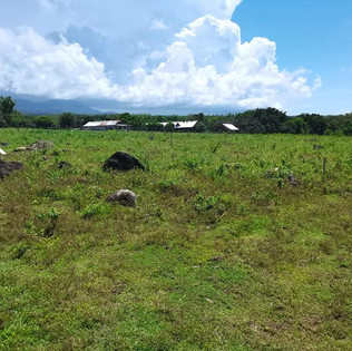 Zamboanguita overlooking lot