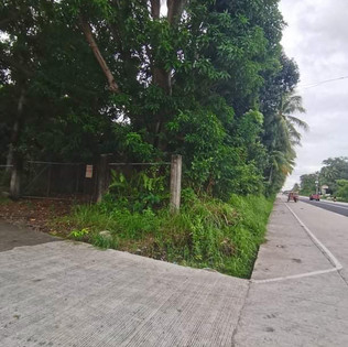 dauin-4000sqm-4.jpeg