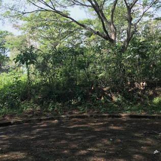 greenwoods-blk3-lot3-ph34jpeg