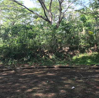 greenwoods-blk3-lot3-ph36jpeg