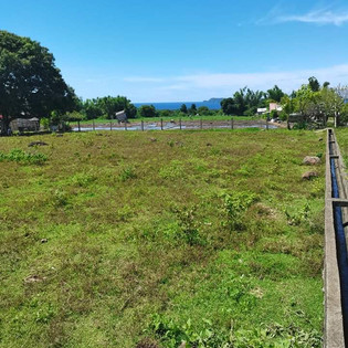 zamboanguita-negros-3.jpeg