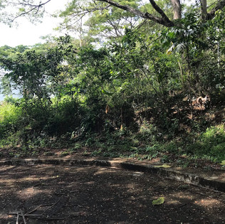 greenwoods-blk3-lot3-ph31jpeg