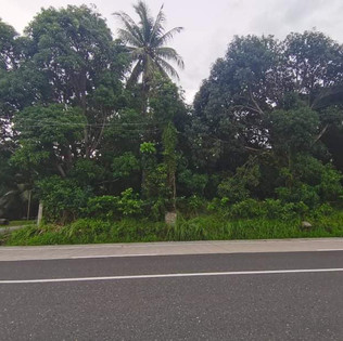 Dauin Negros Oriental