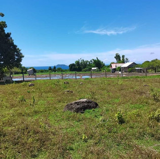 zamboanguita-negros-2.jpeg