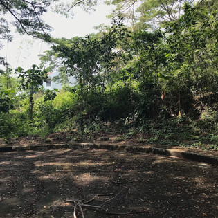 greenwoods-blk3-lot3-ph32jpeg