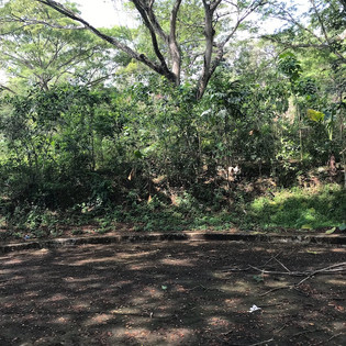greenwoods-blk3-lot3-ph35jpeg