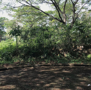 greenwoods-blk3-lot3-ph33jpeg