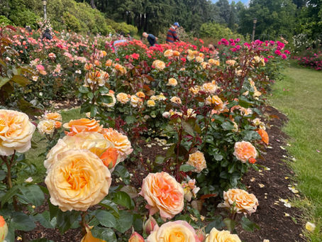 Elemental Reset™: A Mother's Day Ritual in the City of Roses