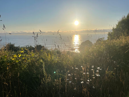 sunset around the river
