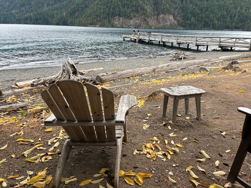 reaxing scene of woden chair sitting on the side of the lake