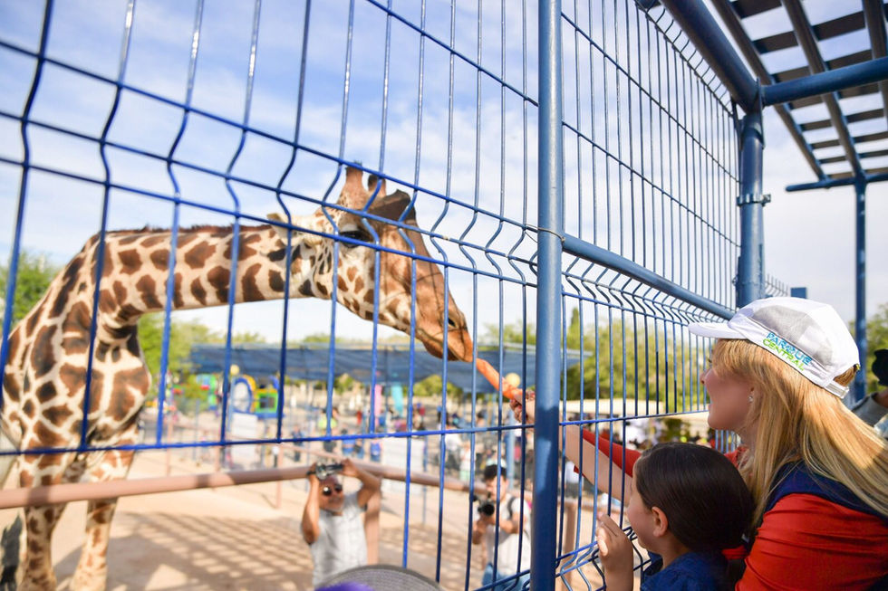 Se llamará "Benito" la nueva mascota del Parque Central de Ciudada Juárez
