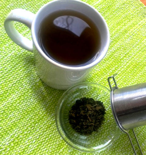 Nrlen Tea Nettles Now!